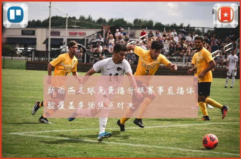 新雨燕足球免费播升级赛事直播体验覆盖多场焦点对决
